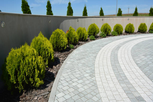 Reasons to Select Us for Your Driveway Paving Requirements in Euharlee, GA